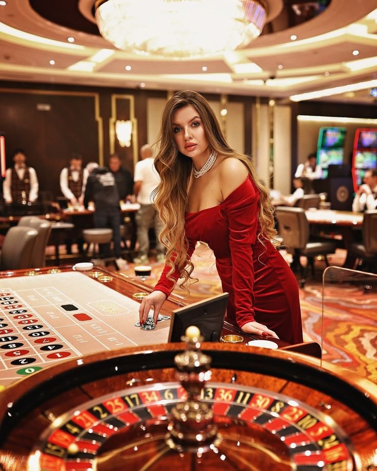 piloto bet